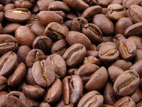 دانه قهوه لاوازا اسپرسو باریستا گرن کرما 1 کیلویی -  Lavazza Espresso Barista Gran Crema