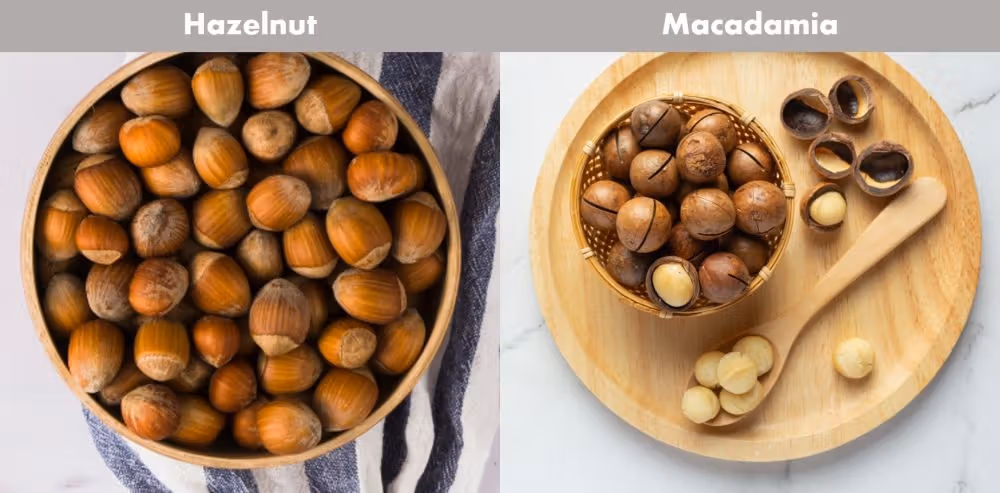 فندق ماکادمیا وانیلی 1 کیلوگرمی (همراه با کلید) Macademia