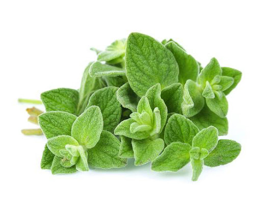 ادویه اورگانو بایارا - 500 گرم | Bayara Oregano