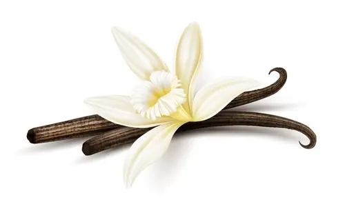 چای وانیلی امیننت 500 گرم - Eminent Vanilla OP1 3 چای وانیلی امیننت 500 گرم - Eminent Vanilla OP1