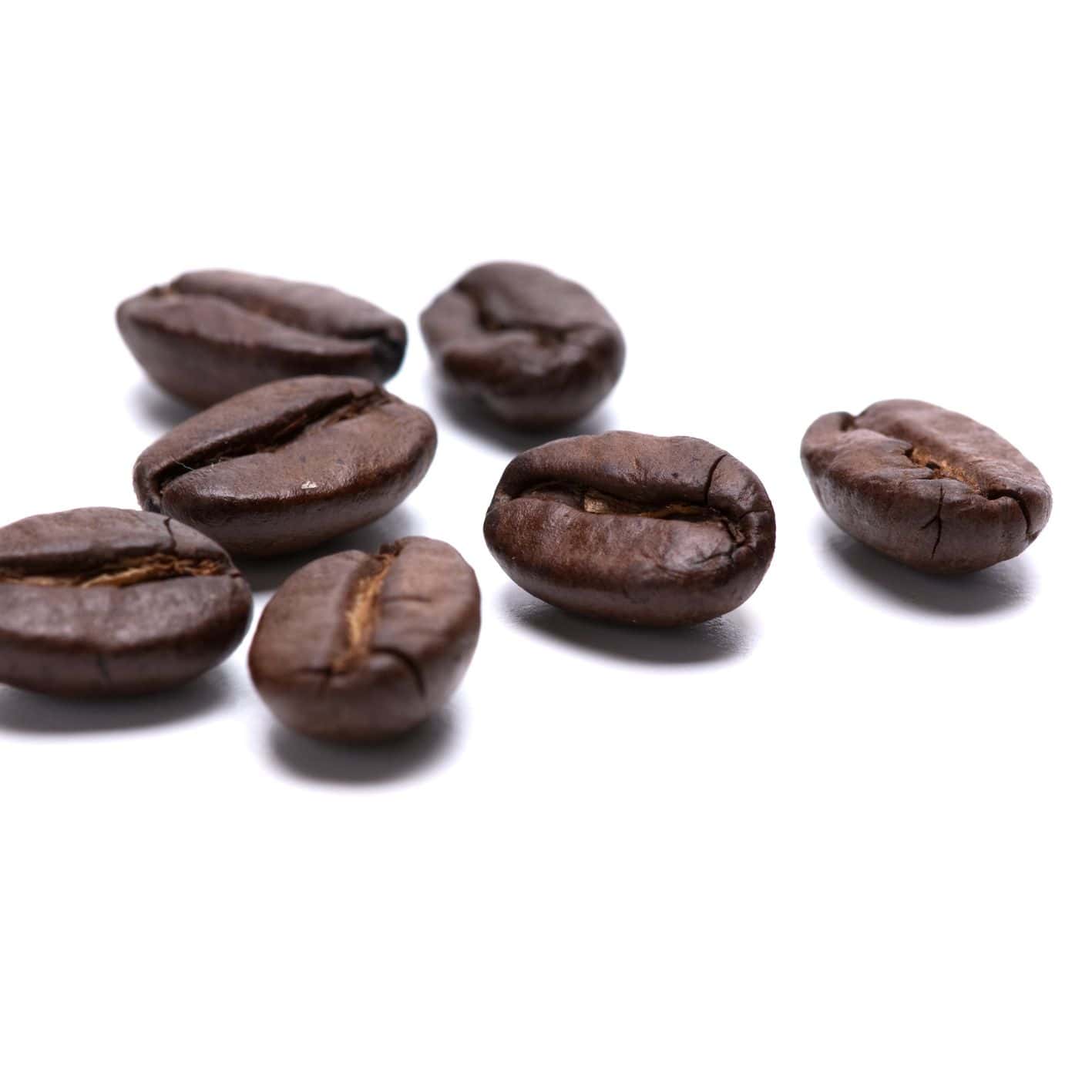 دانه قهوه لوکافه وندینگ پرمیوم ۱ کیلوگرم | Lucaffé Vending Premium